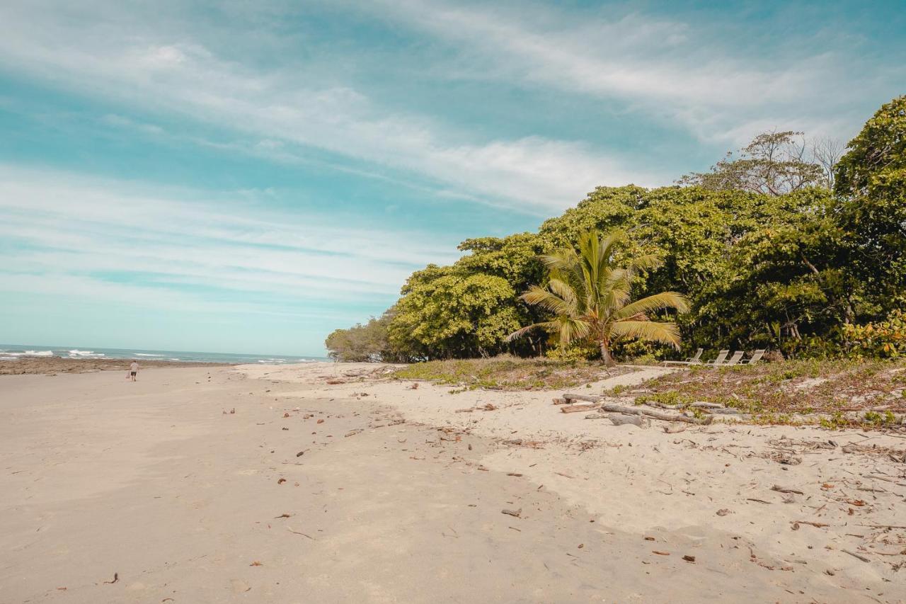 Villas Paraiso Azul Playa Santa Teresa  Eksteriør billede