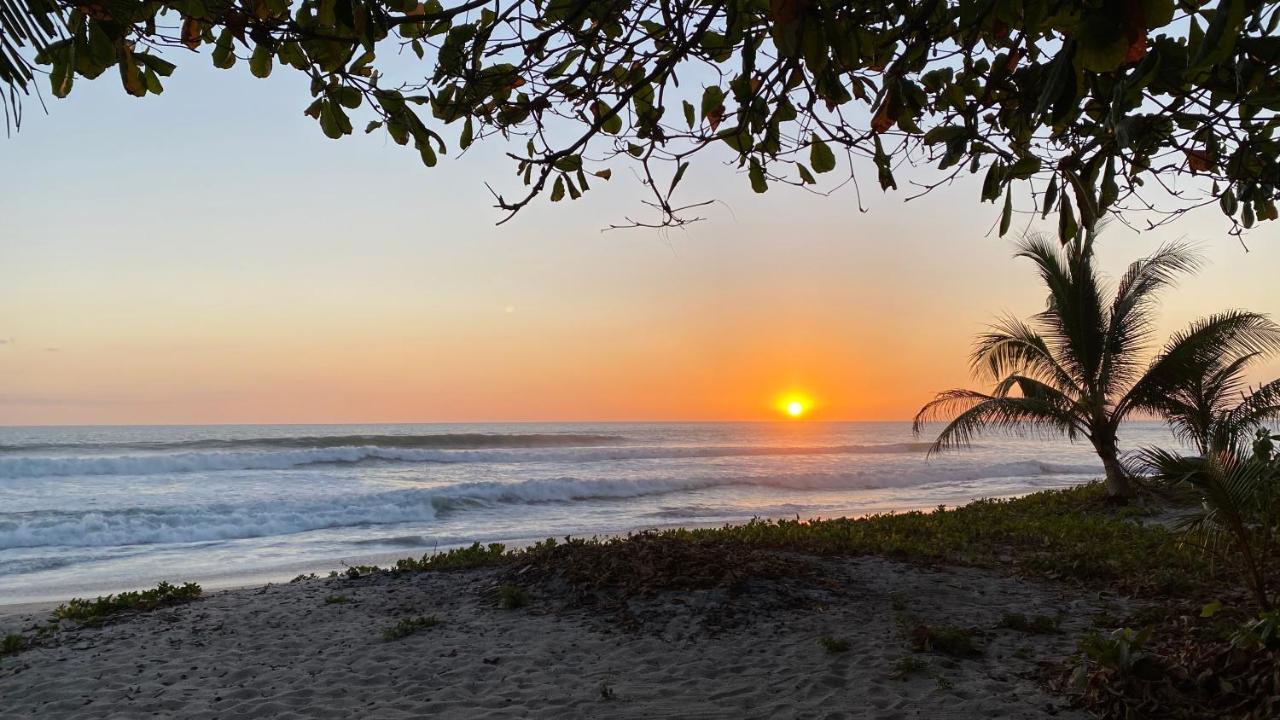 Villas Paraiso Azul Playa Santa Teresa  Eksteriør billede